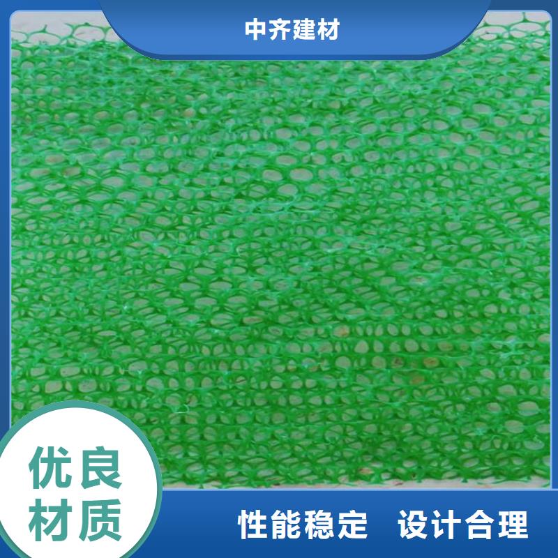三维植被网双向塑料土工格栅价格公道合理
