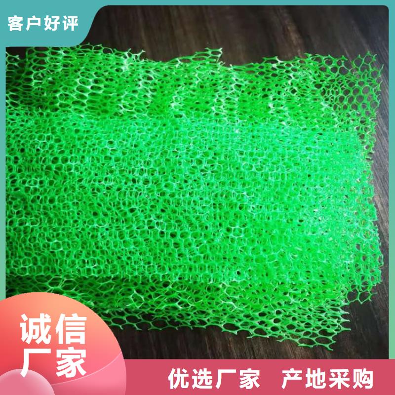 【三维植被网】-生态带可零售可批发