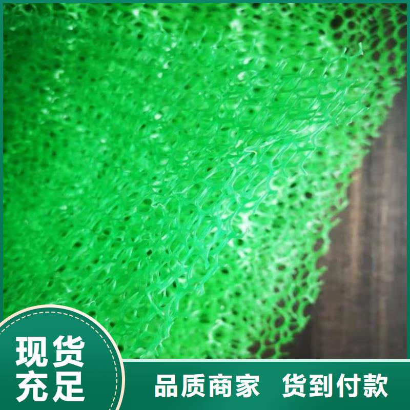 三维植被网,塑料盲沟满足客户所需
