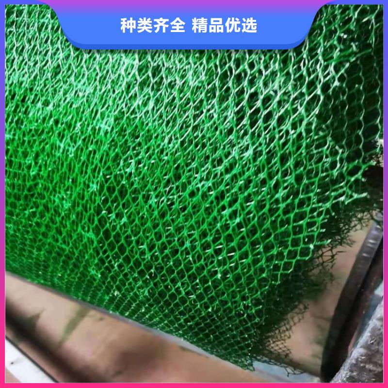 三维植被网土工布现货快速采购