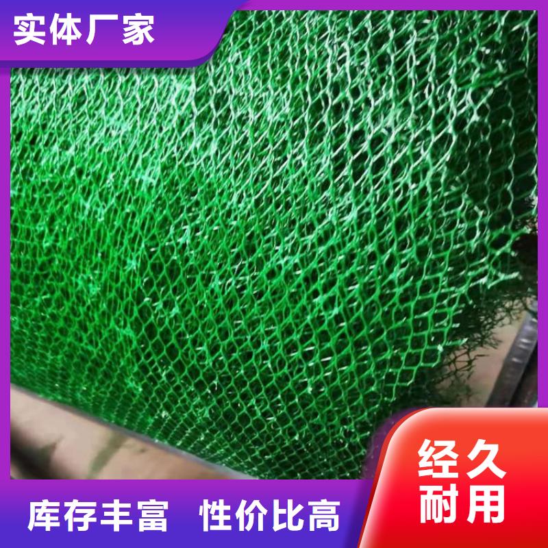三维植被网,塑料土工格栅实拍品质保障