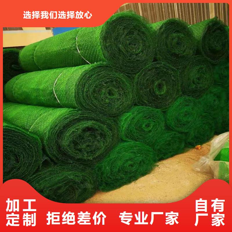 三维植被网双向塑料土工格栅价格公道合理