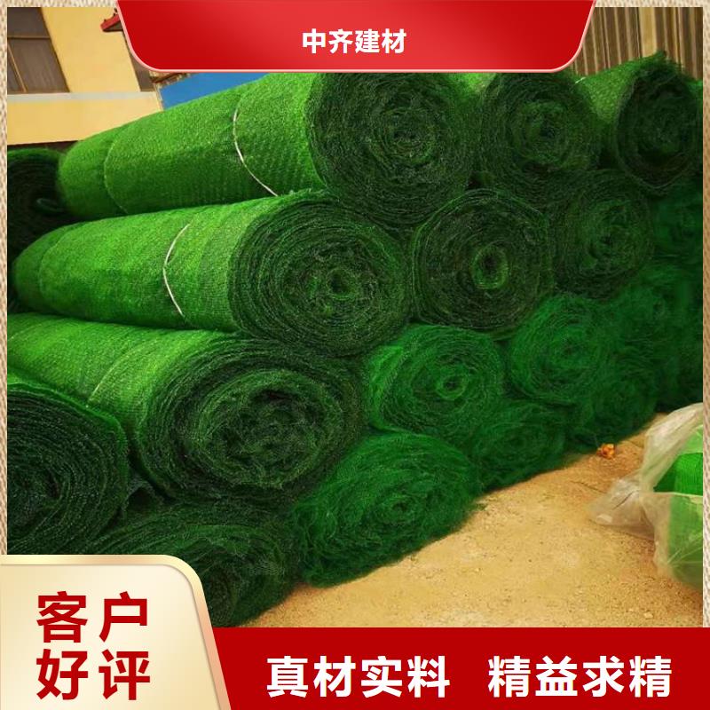 三维植被网双向塑料土工格栅订购