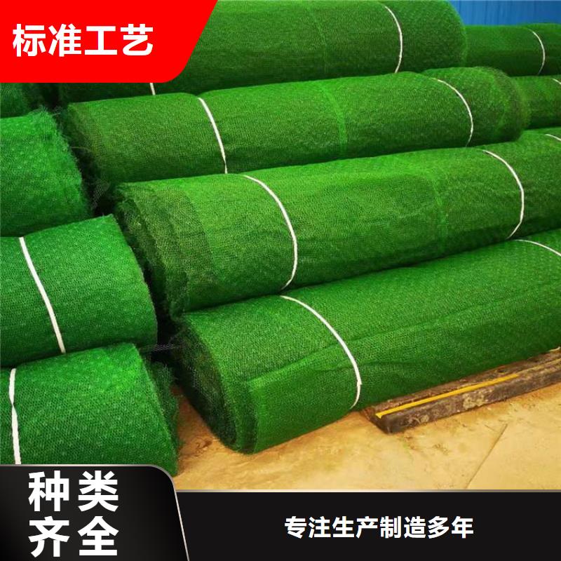 三维植被网土工布现货快速采购