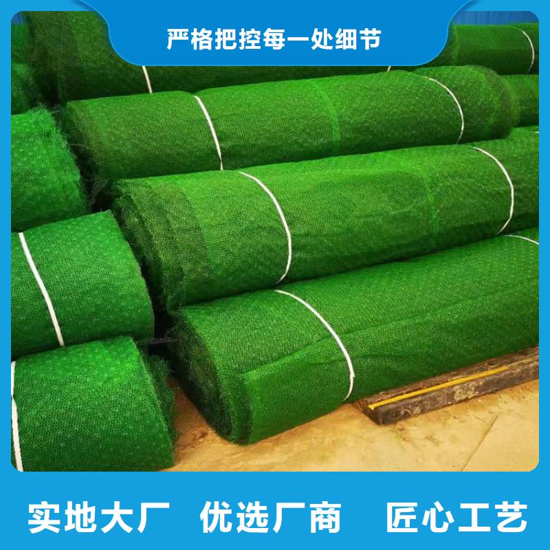 三维植被网,防水板海量货源