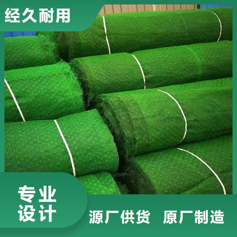 【三维植被网-土工布快速报价】