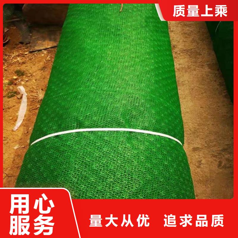 三维植被网HDPE土工膜设计制造销售服务一体