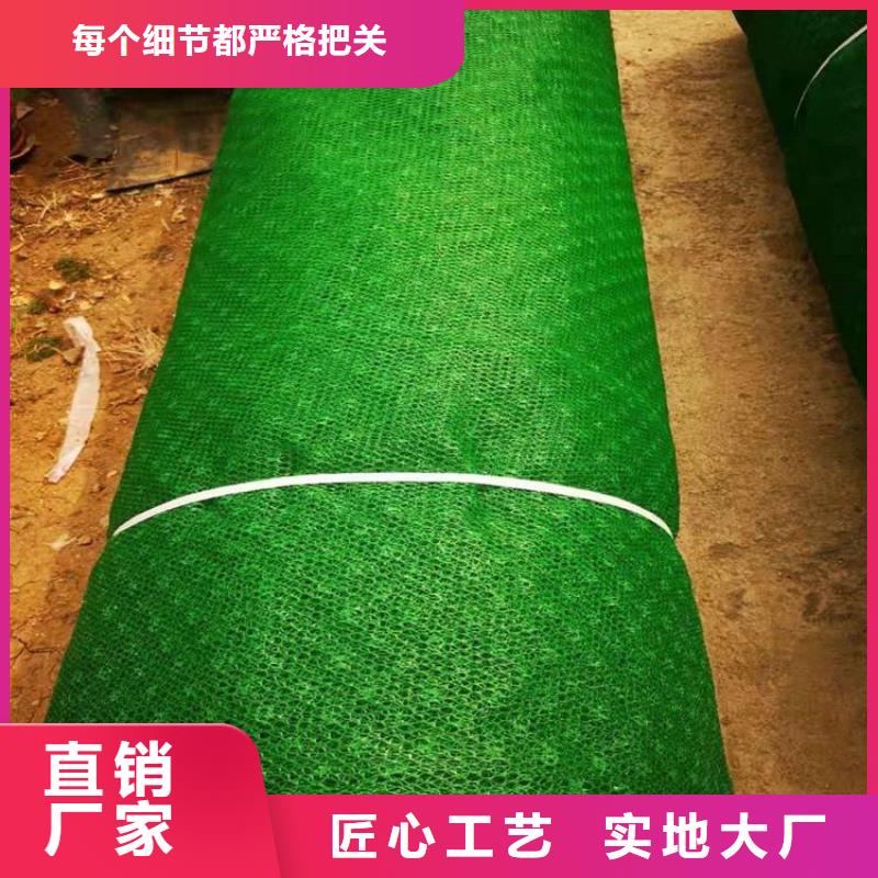 三维植被网防渗膜好厂家有担当
