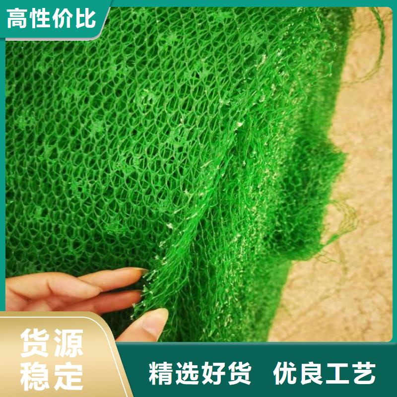 三维植被网双向塑料土工格栅订购
