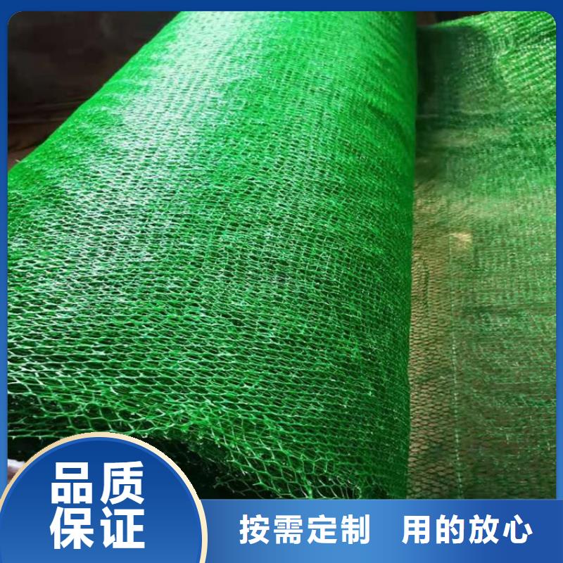 三维植被网【玻纤土工格栅】符合行业标准