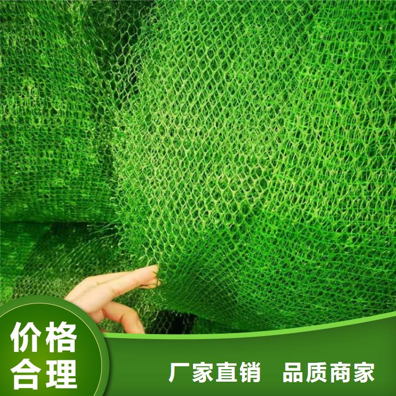 三维植被网生态带生产安装