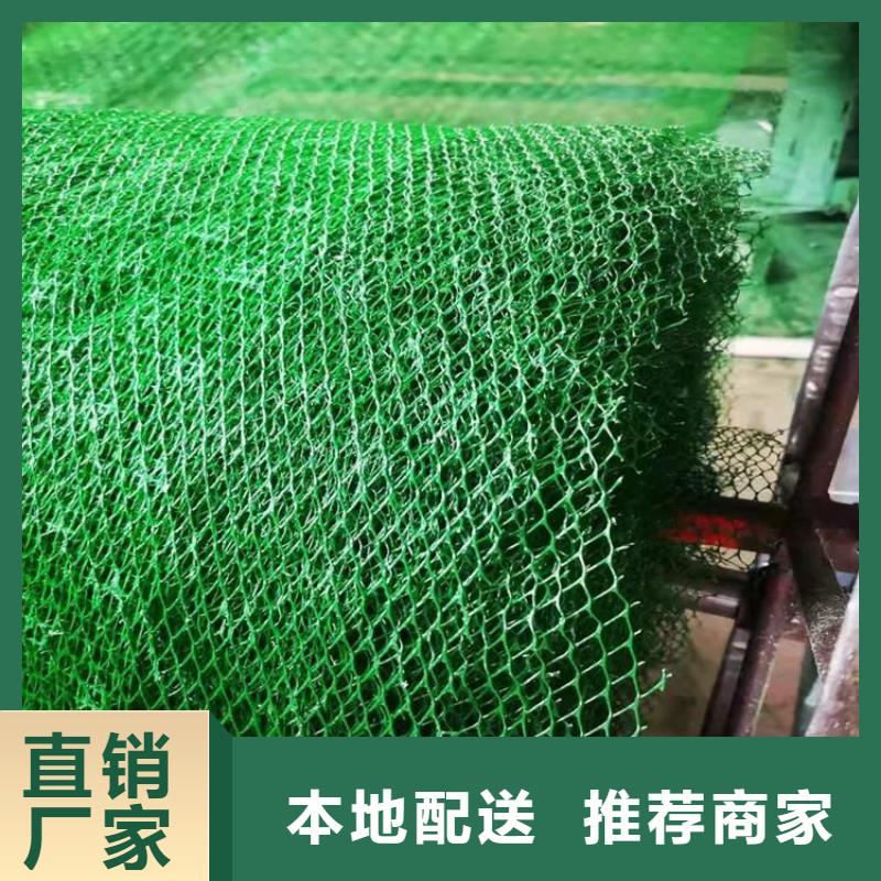 三维植被网,土工膜品牌大厂家
