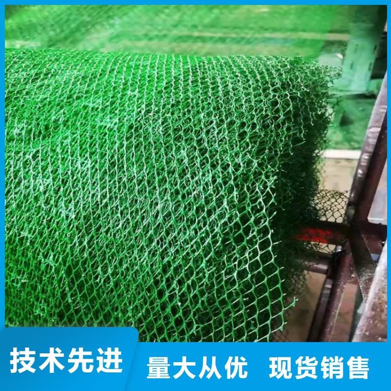 三维植被网HDPE土工膜设计制造销售服务一体