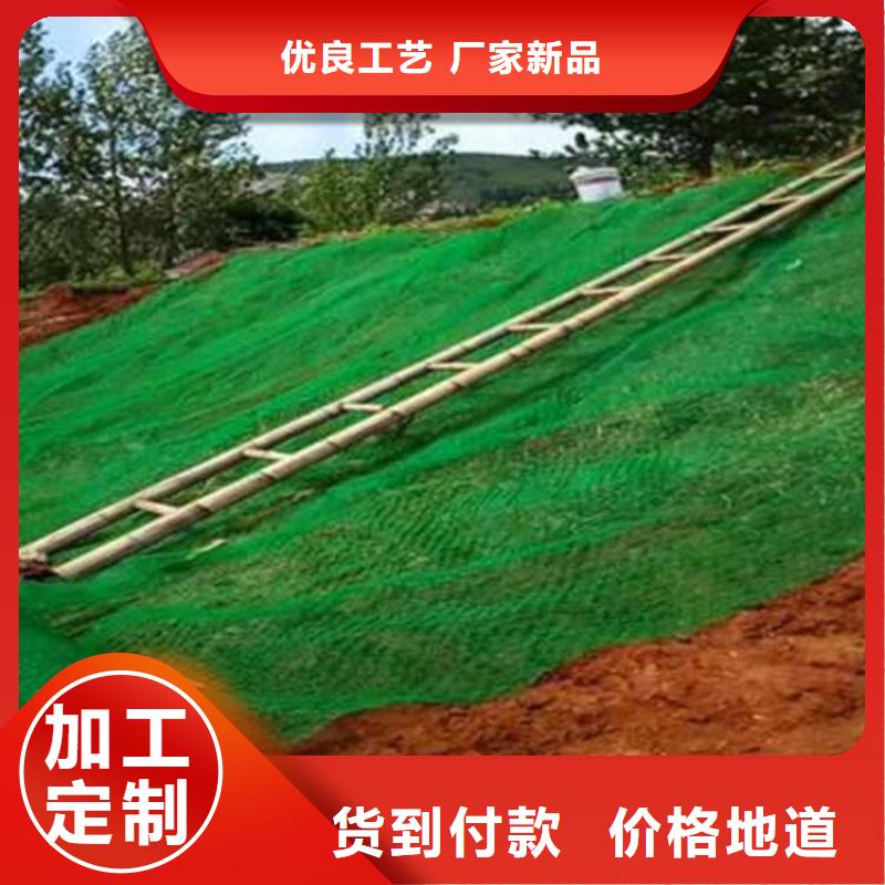 三维植被网聚酯玻纤布应用领域