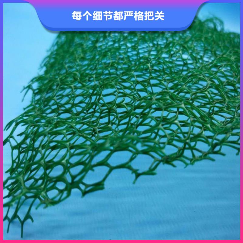 三维植被网_双向土工格栅实力商家