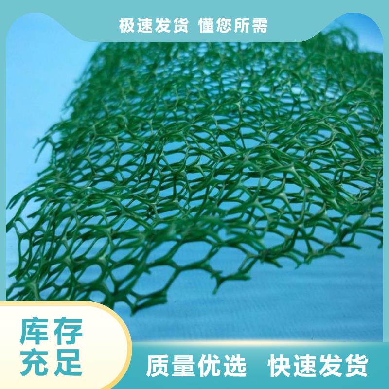 三维植被网土工膜物流配货上门