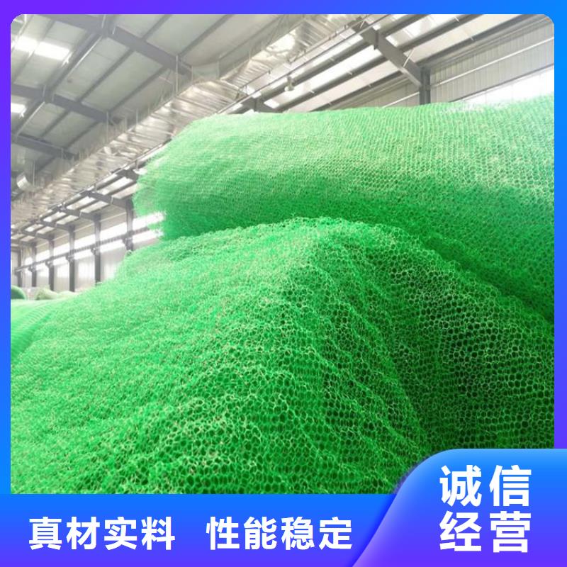 三维植被网土工格室真材实料加工定制