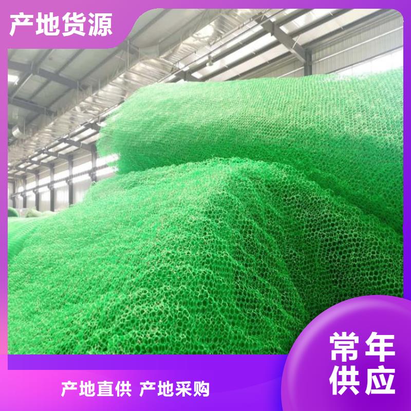 【三维植被网塑料盲沟优选好材铸造好品质】