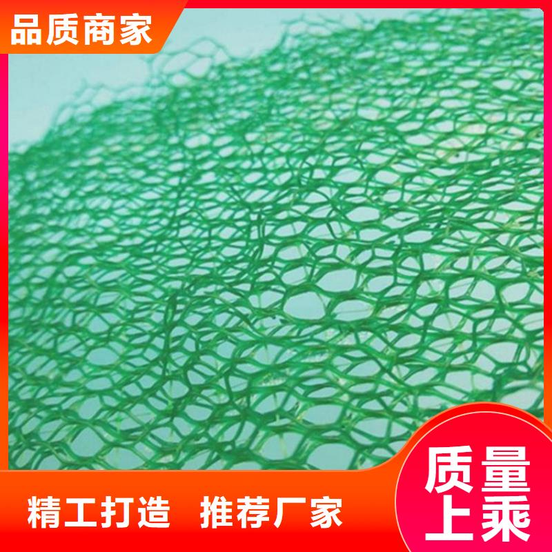 三维植被网土工布现货快速采购