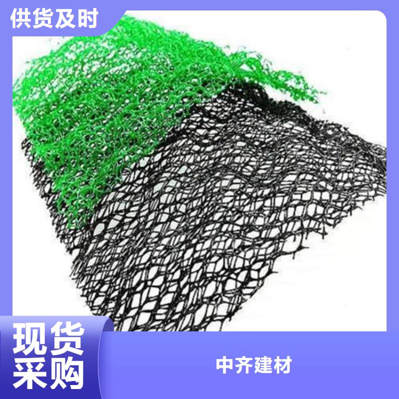 三维植被网土工布现货快速采购