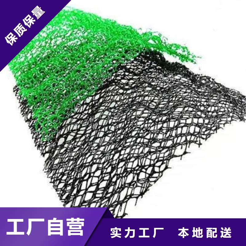 【三维植被网】软式透水管真诚合作