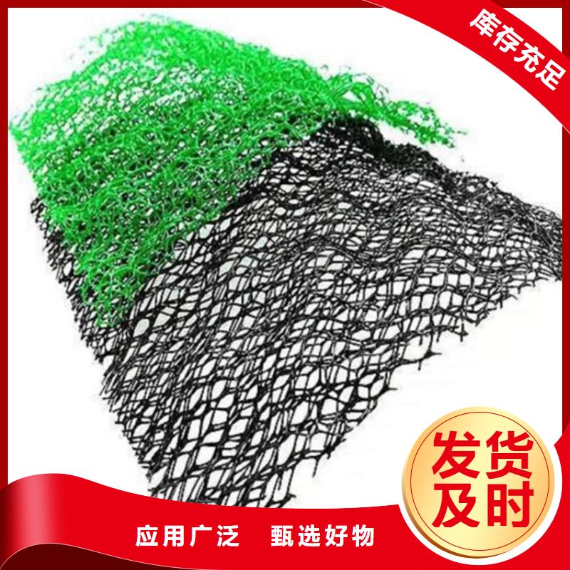 三维植被网-土工布好品质用的放心