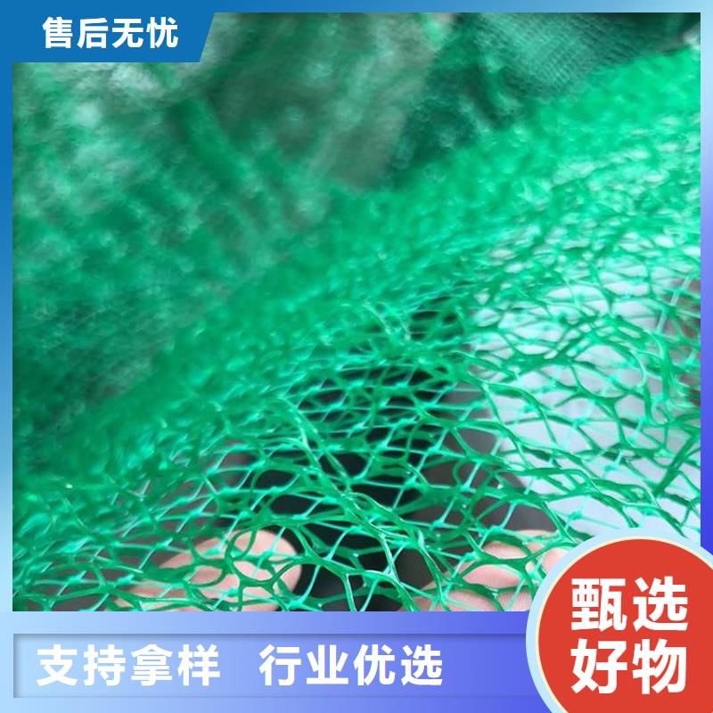 【三维植被网】-生态带可零售可批发