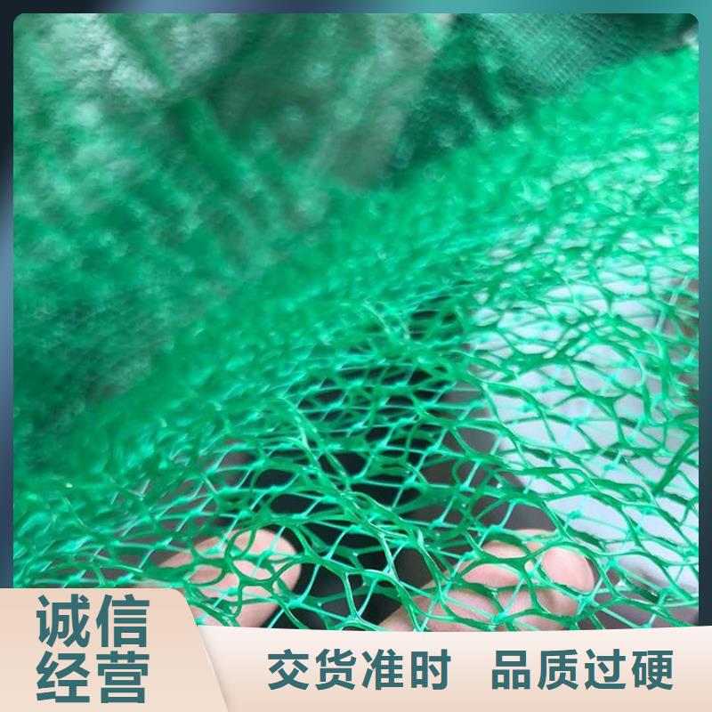 三维植被网土工格室真材实料加工定制
