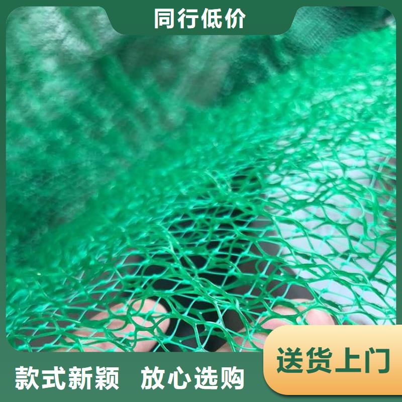 三维植被网HDPE土工膜设计制造销售服务一体