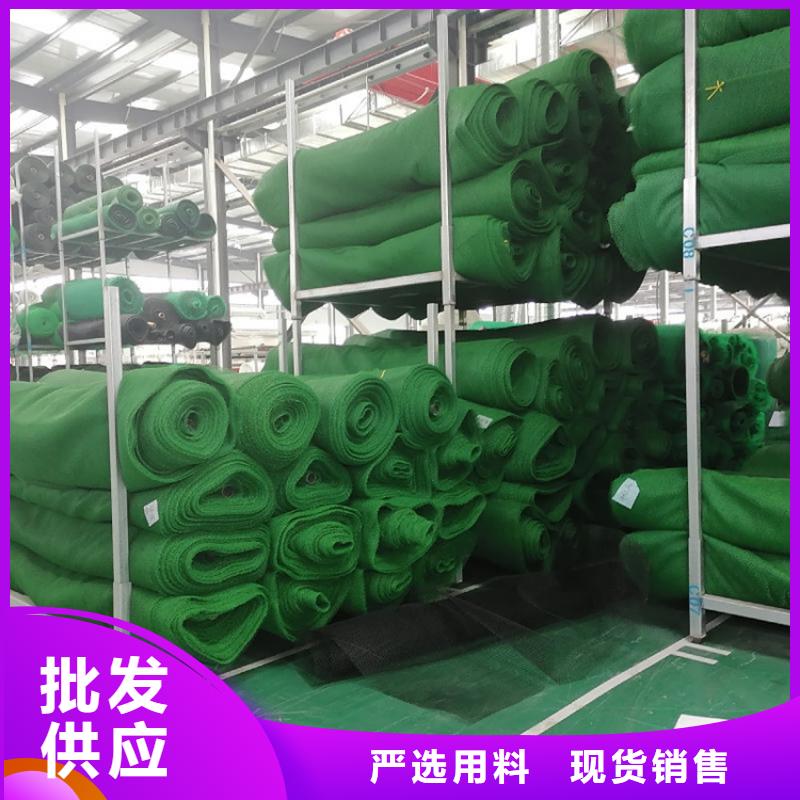 三维植被网土工格栅经久耐用