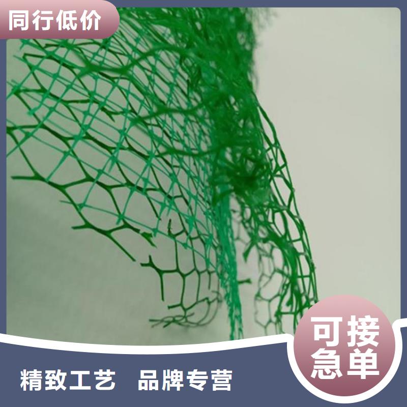三维植被网,土工膜品牌大厂家