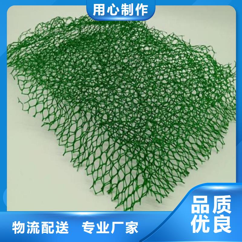 三维植被网塑料格栅分类和特点