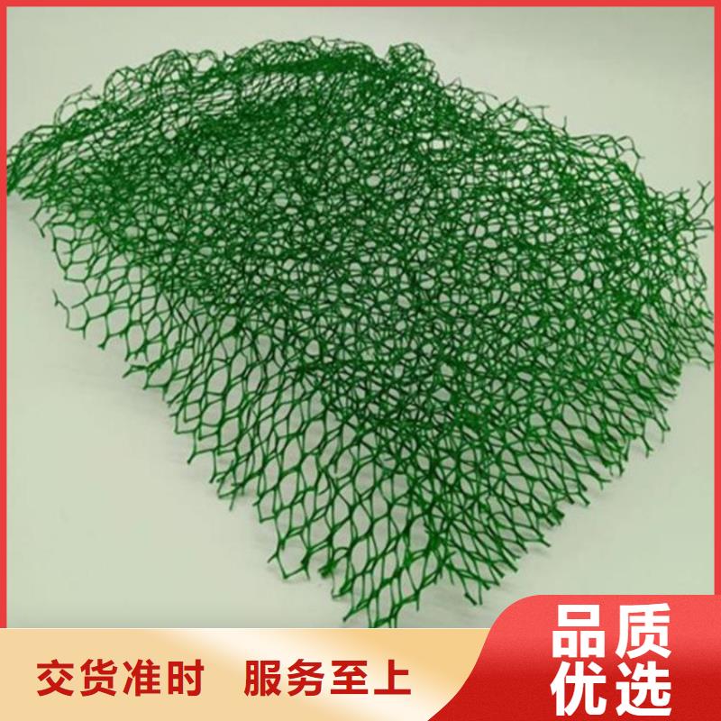 三维植被网土工布现货快速采购
