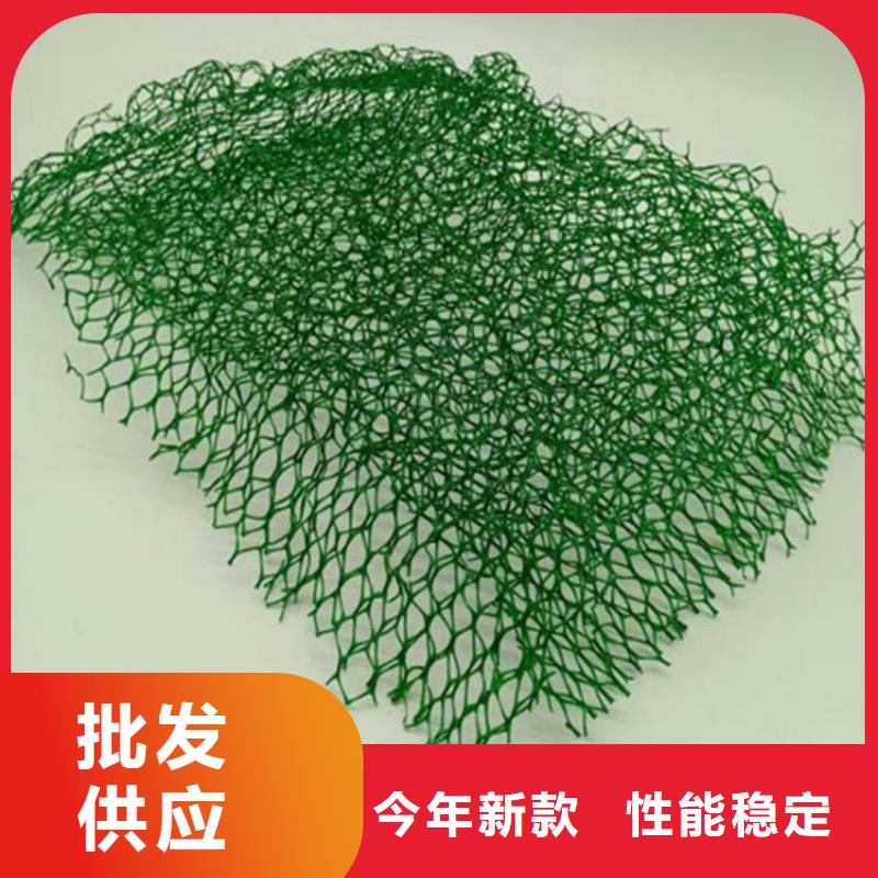 三维植被网土工格室真材实料加工定制