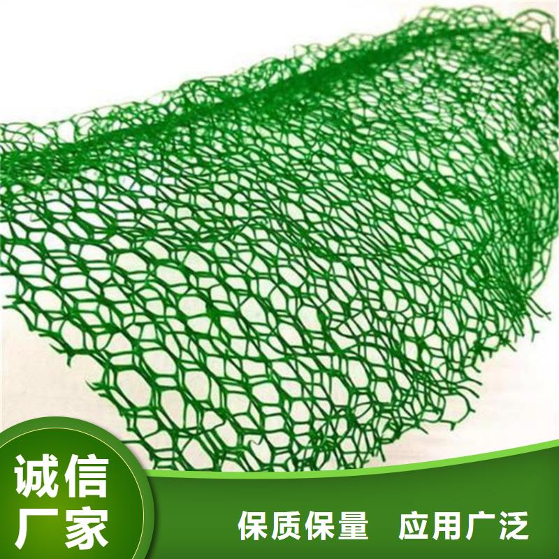 三维植被网双向塑料土工格栅价格公道合理