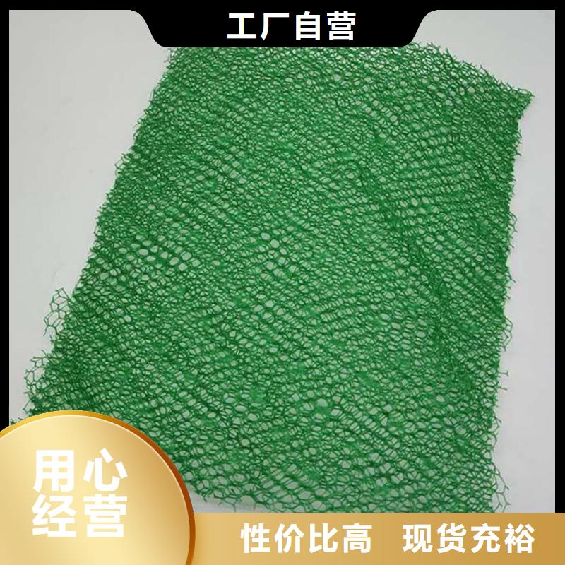 三维植被网生态带出厂严格质检