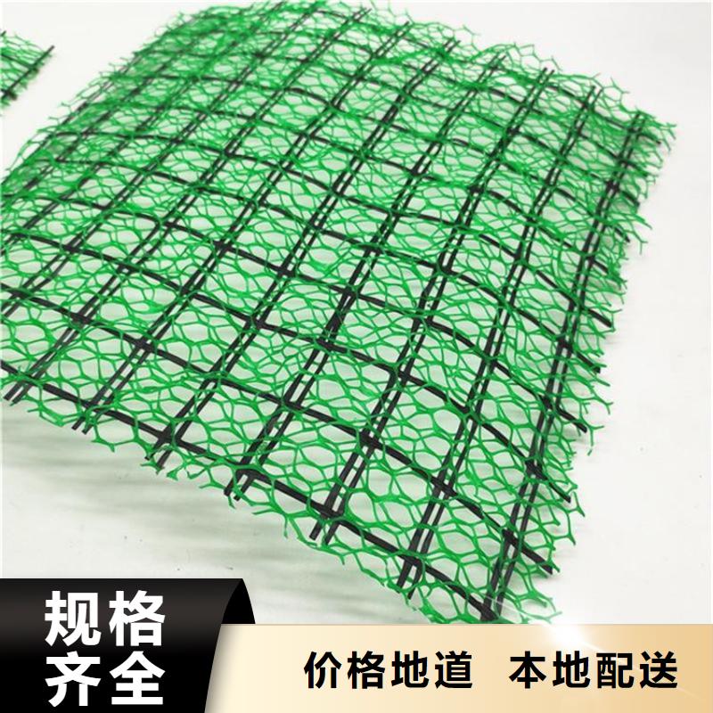 【三维植被网-土工布快速报价】