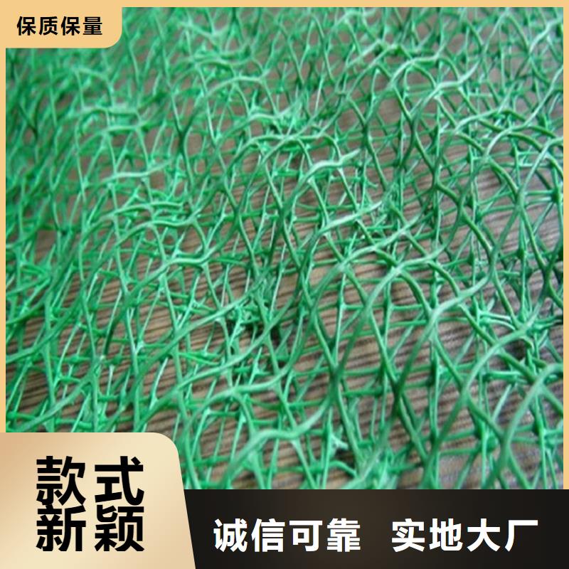 三维植被网土工格栅安心购