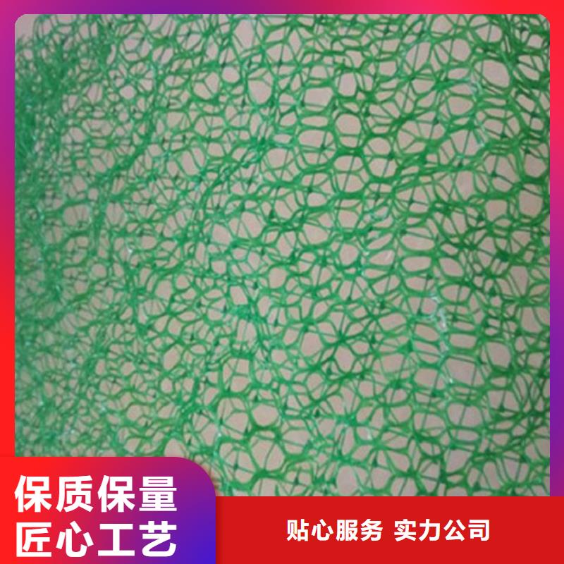 三维植被网土工布现货快速采购