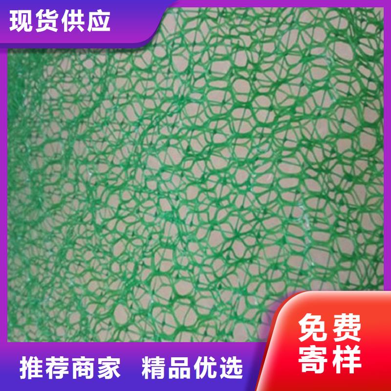 【三维植被网-土工布快速报价】