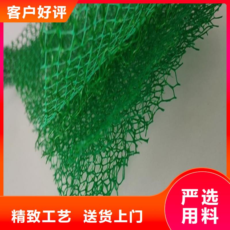 三维植被网土工布现货快速采购
