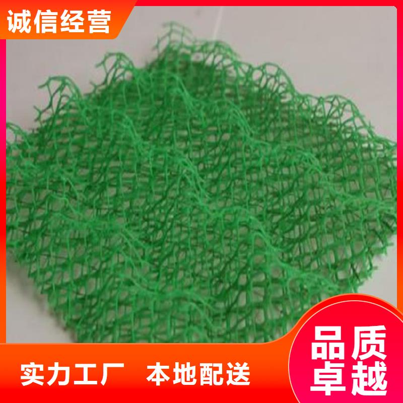三维植被网,塑料盲沟满足客户所需