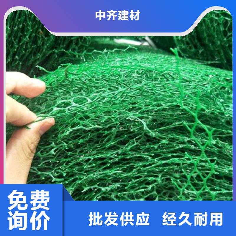【三维植被网-土工布快速报价】