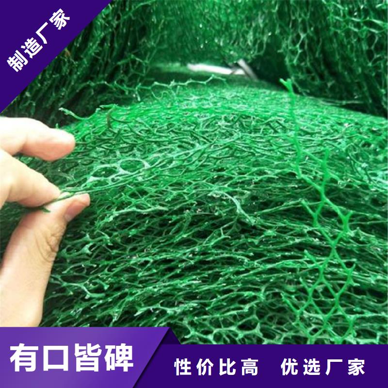 三维植被网防渗膜来图加工定制