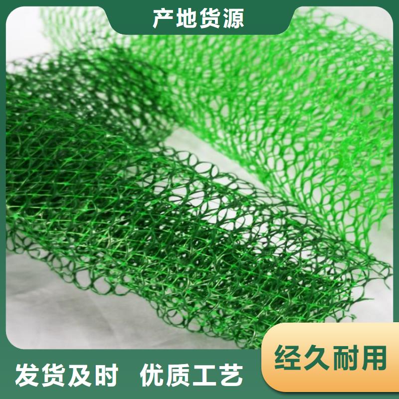 三维植被网玻璃纤维土工格栅行业优选