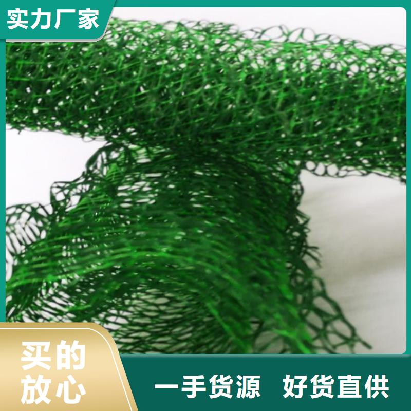 三维植被网双向塑料土工格栅价格公道合理