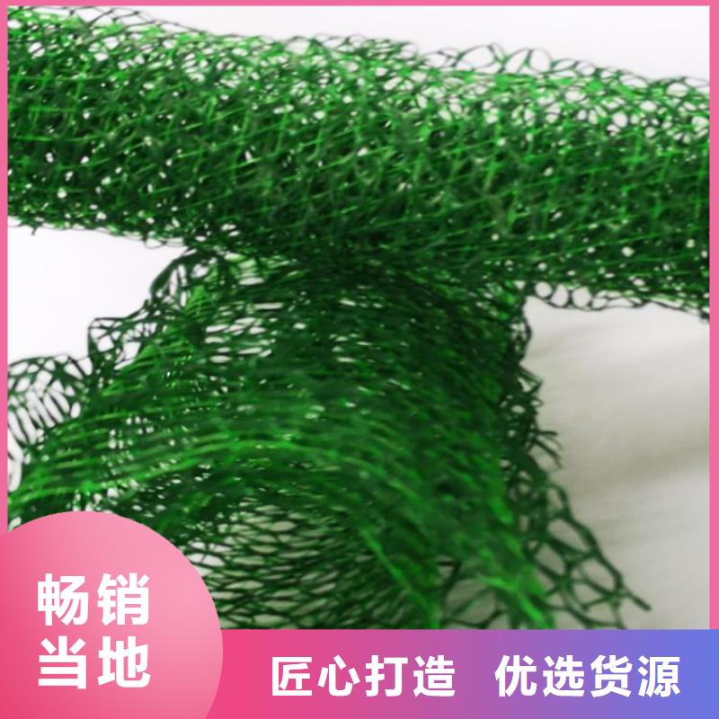 三维植被网土工格室真材实料加工定制