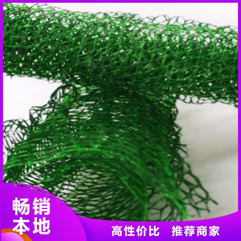 三维植被网塑料格栅分类和特点