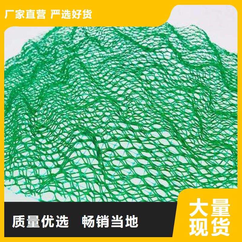 三维植被网涤纶格栅交货准时