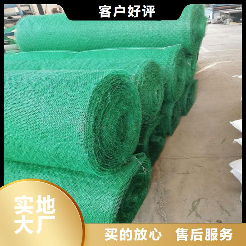 三维植被网HDPE土工膜设计制造销售服务一体